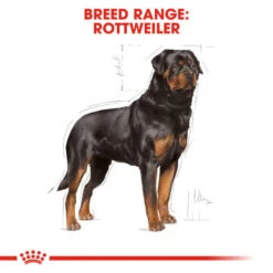 Royal Canin Dry Dog Food Specifically For Adult Rottweiler 12kg -Pet Supply Store brkufc5mo4r