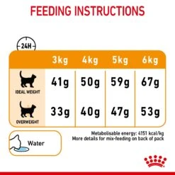 Royal Canin Hair & Skin Care Adult Dry Cat Food For Cats -Pet Supply Store bwcrtxe1ghs