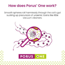 Dechra Porus One Kidney Support For Cats 30 X 500mg & FREE Add One Treats -Pet Supply Store c0h2ztzv01d