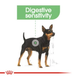 Royal Canin Dry Dog Food For Digestive Care In Mini Dogs - All Sizes -Pet Supply Store captgadlkri