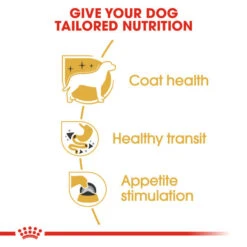 Royal Canin Wet Dog Food Specifically For Chihuahua Adult 12x85g 14 Royal Canin Wet Dog Food Specifically For Chihuahua Adult 12x85g -Pet Supply Store cvd1ewts2hd