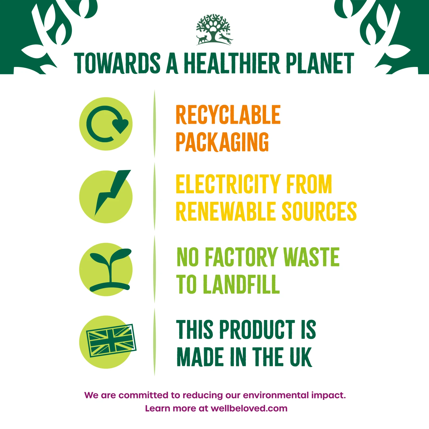 James Wellbeloved Turkey, Kale & Quinoa Adult Dog Superfood 1.5kg 4 James Wellbeloved Turkey, Kale & Quinoa Adult Dog Superfood 1.5kg - Image 4