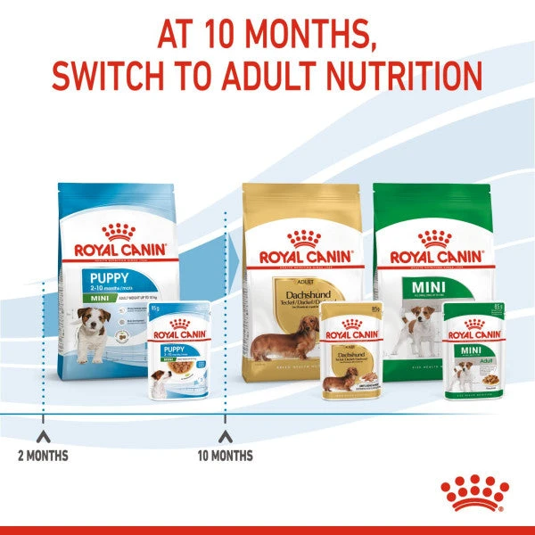 Royal Canin Nutritional Wet Dog Food For Mini Puppy - 12x85g 10 Royal Canin Nutritional Wet Dog Food For Mini Puppy - 12x85g - Image 10
