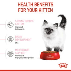 Royal Canin Nutritional Dry Cat Kitten Food -Pet Supply Store dqijz3ejcti