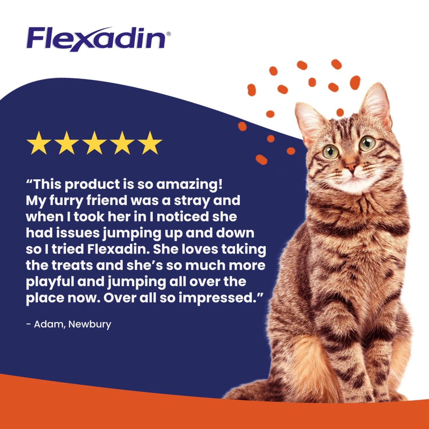 Vetoquinol Flexadin Joint Care For Cats, 60 Chews 6 Vetoquinol Flexadin Joint Care For Cats, 60 Chews - Image 6