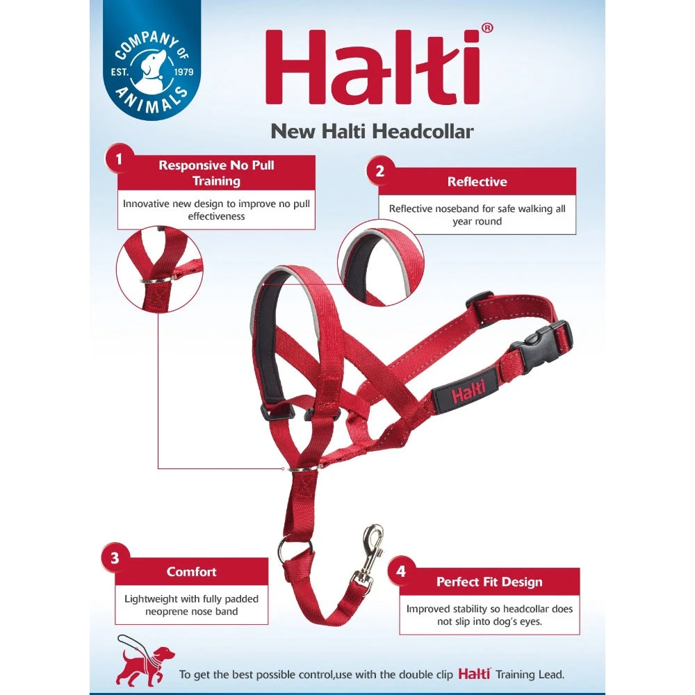 Company Of Animals Halti Dog Headcollar Red 9 Company Of Animals Halti Dog Headcollar Red - Image 9