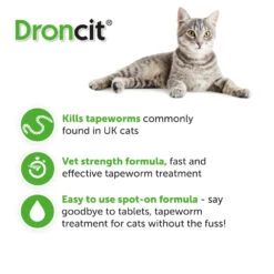 Droncit Spot-On Tapewormer For Cats (from 1kg), 4 Tubes -Pet Supply Store e35mbgt1x2r