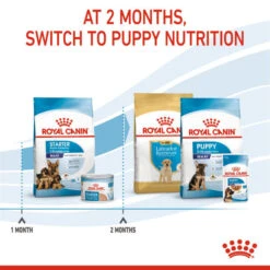 Royal Canin Dry Dog Food For Maxi Starter Mother & Babydog - All Sizes 14 Royal Canin Dry Dog Food For Maxi Starter Mother & Babydog - All Sizes -Pet Supply Store e3bhun0xohx