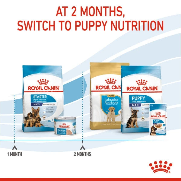 Royal Canin Dry Dog Food For Maxi Starter Mother & Babydog - All Sizes 5 Royal Canin Dry Dog Food For Maxi Starter Mother & Babydog - All Sizes - Image 5