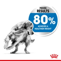 Royal Canin Dry Dog Food For Medium Light Care Adult Dogs - All Sizes -Pet Supply Store e3sqwvp1lqr
