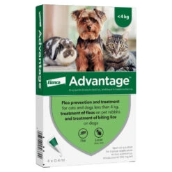 Advantage Spot On Flea Treatment -Pet Supply Store ebdwqhe55au
