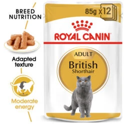 Royal Canin British Shorthair Adult In Gravy Wet Cat Food For Cats 12 X 85g -Pet Supply Store ebrkzpfqmc4 99453a7c 3694 4c6a b7e0 0b14ba8f6af0