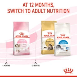 Royal Canin Nutritional Dry Cat Kitten Food -Pet Supply Store ezpx1xpeiij
