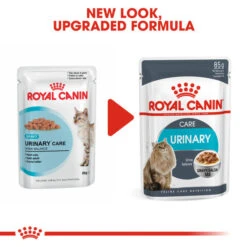 Royal Canin Wet Cat Food Urinary Care Food Pouch 48 X 85g 11 Royal Canin Wet Cat Food Urinary Care Food Pouch 48 X 85g -Pet Supply Store f0scfzi2xud