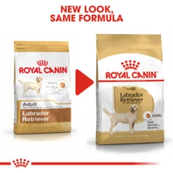 Royal Canin Dry Dog Food Specifically For Adult Labrador Retriever - All Sizes 12 Royal Canin Dry Dog Food Specifically For Adult Labrador Retriever - All Sizes -Pet Supply Store f2jdm55r112