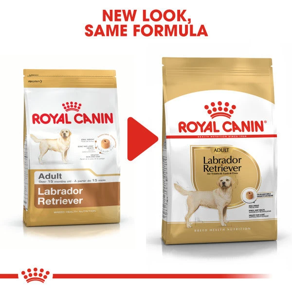 Royal Canin Dry Dog Food Specifically For Adult Labrador Retriever - All Sizes 5 Royal Canin Dry Dog Food Specifically For Adult Labrador Retriever - All Sizes - Image 5