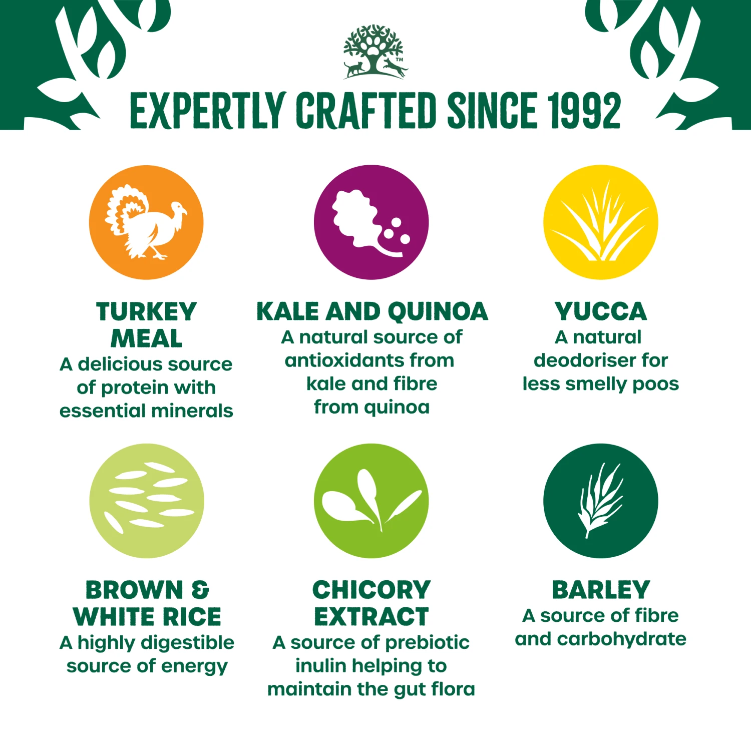 James Wellbeloved Turkey, Kale & Quinoa Adult Dog Superfood 1.5kg 6 James Wellbeloved Turkey, Kale & Quinoa Adult Dog Superfood 1.5kg - Image 6