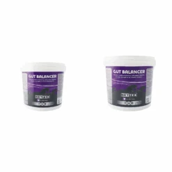Nettex Equine Horse Gut Balancer Supplement