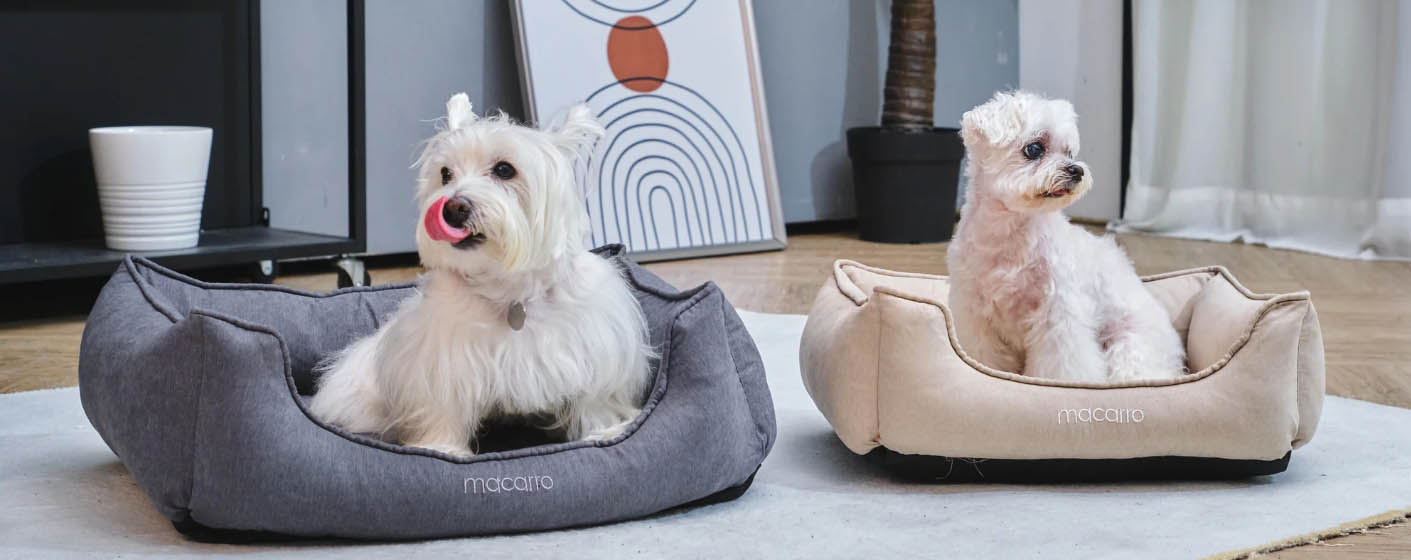 Pet Supply Store -Pet Supply Store fghfhg