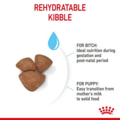 Royal Canin Dry Dog Food For Mini Starter Mother & Babydog - All Sizes -Pet Supply Store fkaaohxqb21