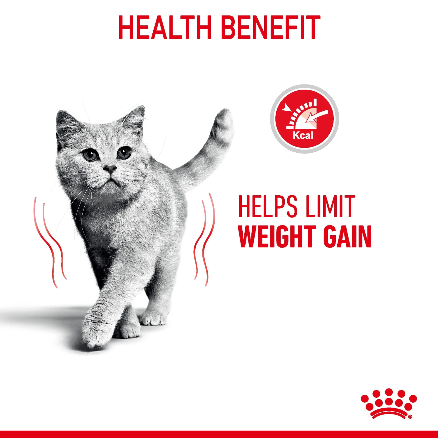 Royal Canin Wet Cat Food Ultra Light Pouch 12 X 85 G 11 Royal Canin Wet Cat Food Ultra Light Pouch 12 X 85 G - Image 11
