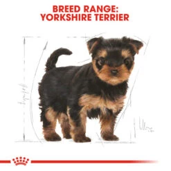 Royal Canin Dry Dog Food Specifically For Puppy Yorkshire Terrier 1.5kg 13 Royal Canin Dry Dog Food Specifically For Puppy Yorkshire Terrier 1.5kg -Pet Supply Store g0lvhzgtd0c