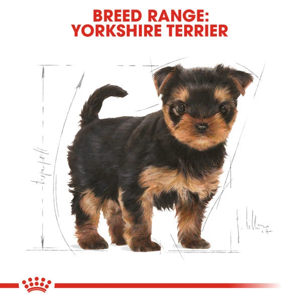 Royal Canin Dry Dog Food Specifically For Puppy Yorkshire Terrier 1.5kg 5 Royal Canin Dry Dog Food Specifically For Puppy Yorkshire Terrier 1.5kg - Image 5