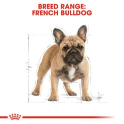 Royal Canin Dry Dog Food Specifically For Adult French Bulldog - All Sizes -Pet Supply Store g1hrsmmlthm
