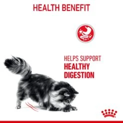 Royal Canin Dry Cat Food For Digestive Care In Cats 2kg -Pet Supply Store gaskn2tpyci dde95f37 77ce 4ab5 b904 c93e45781d2b