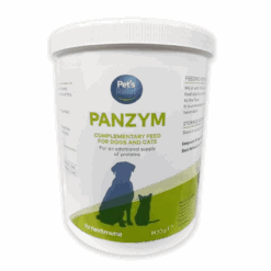 Panzym Pancreatic Digestive Supplement Powder