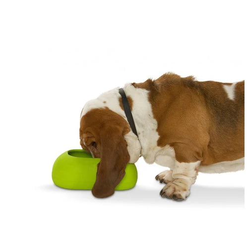 Buster Incredibowl For Long Eared Dogs 4 Buster Incredibowl For Long Eared Dogs - Image 4