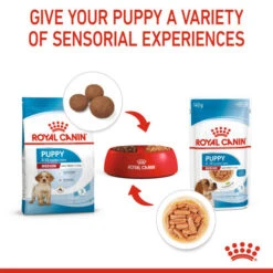 Royal Canin Nutritional Wet Dog Food For Medium Puppy 10x140g -Pet Supply Store grtxrx5z3lp