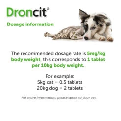 Droncit Tablet Tapewormer For Cats And Dogs - All Pack Sizes 12 Droncit Tablet Tapewormer For Cats And Dogs - All Pack Sizes -Pet Supply Store gvkyrxdv1sc 22d029ad e42b 4536 a088 c01dda2d7fd3