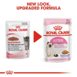 Royal Canin Wet Cat Food Kitten Pouch In Jelly 48 X 85g -Pet Supply Store hp3woyfpdv1