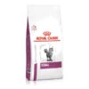 Royal Canin Veterinary Health Nutrition Feline Renal- Various Sizes