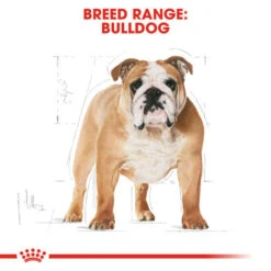 Royal Canin Dry Dog Food Specifically For Adult Bulldog - All Sizes -Pet Supply Store ib3gnzeaobf