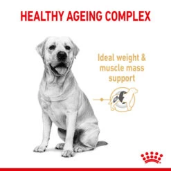 Royal Canin Dry Dog Food Ageing BHN Labrador 5+ 12kg -Pet Supply Store ibx1j20pew0