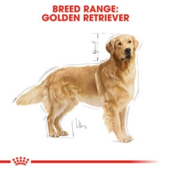 Royal Canin Dry Dog Food Specifically For Adult Golden Retriever - All Sizes 15 Royal Canin Dry Dog Food Specifically For Adult Golden Retriever - All Sizes -Pet Supply Store id2cfhqpqpc