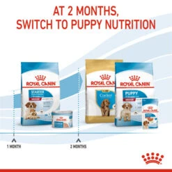 Royal Canin Dry Dog Food For Medium Starter Mother & Babydog - All Sizes -Pet Supply Store idgc5ndxtoo
