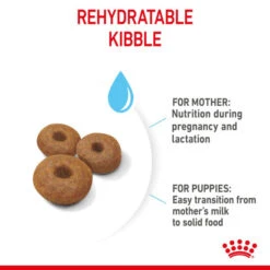 Royal Canin Dry Dog Food For Maxi Starter Mother & Babydog - All Sizes 18 Royal Canin Dry Dog Food For Maxi Starter Mother & Babydog - All Sizes -Pet Supply Store ieuj5xxli5f