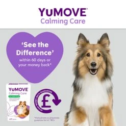 YuMOVE Calming Care For Adult Dogs- Various Sizes 18 YuMOVE Calming Care For Adult Dogs- Various Sizes -Pet Supply Store j3fpksdeykd c309a468 301f 4392 8654 867e144fd60c