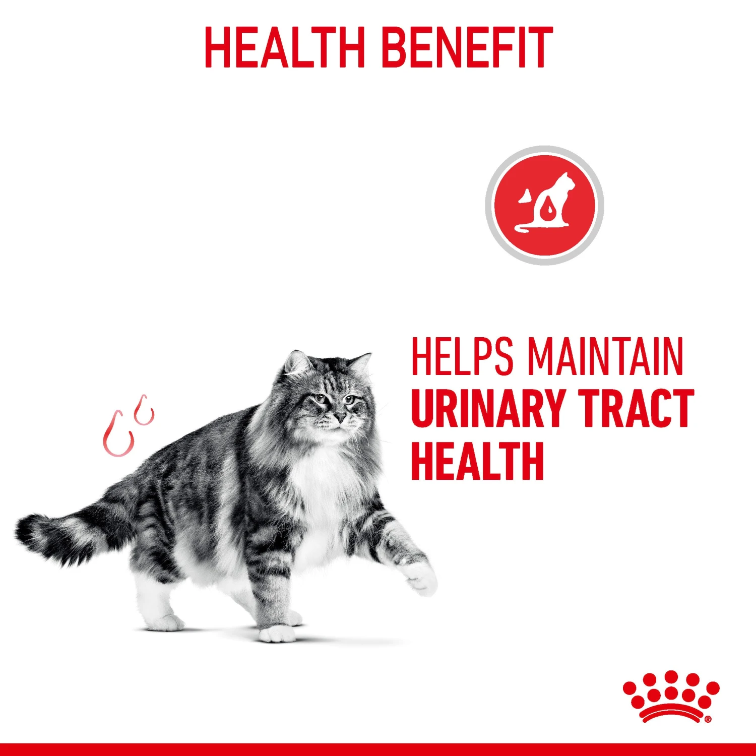 Royal Canin Dry Cat Food For Urinary Care 2kg 6 Royal Canin Dry Cat Food For Urinary Care 2kg - Image 6