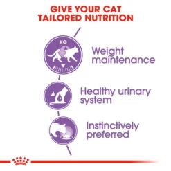 Royal Canin Sterilised Adult In Jelly Wet Cat Food For Cats 12 X 85g -Pet Supply Store jratu23wyup