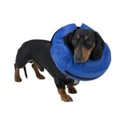 Buster Comfortable Inflatable Collar For Dogs -Pet Supply Store jvwkxtmtcpd 76b8d89a d202 4197 bacf faea3f41df50