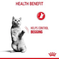 Royal Canin Appetite Control Care Adult Dry Cat Food For Cats 3.5kg -Pet Supply Store kcv5e5yxlr0