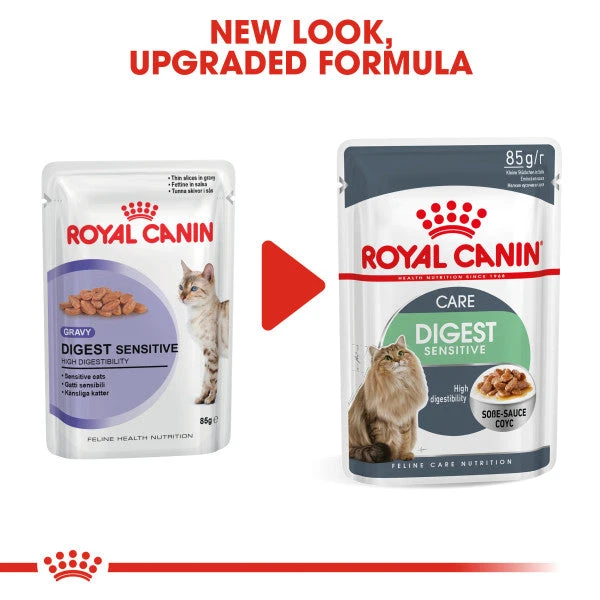 Royal Canin Wet Cat Food Digestive Care In Gravy Pouch 48 X 85 G 8 Royal Canin Wet Cat Food Digestive Care In Gravy Pouch 48 X 85 G - Image 8