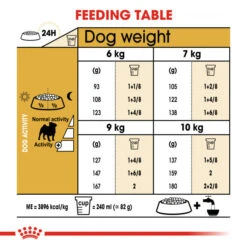Royal Canin Dry Dog Food Specifically For Adult Pug - All Sizes -Pet Supply Store krv3vagt3fp