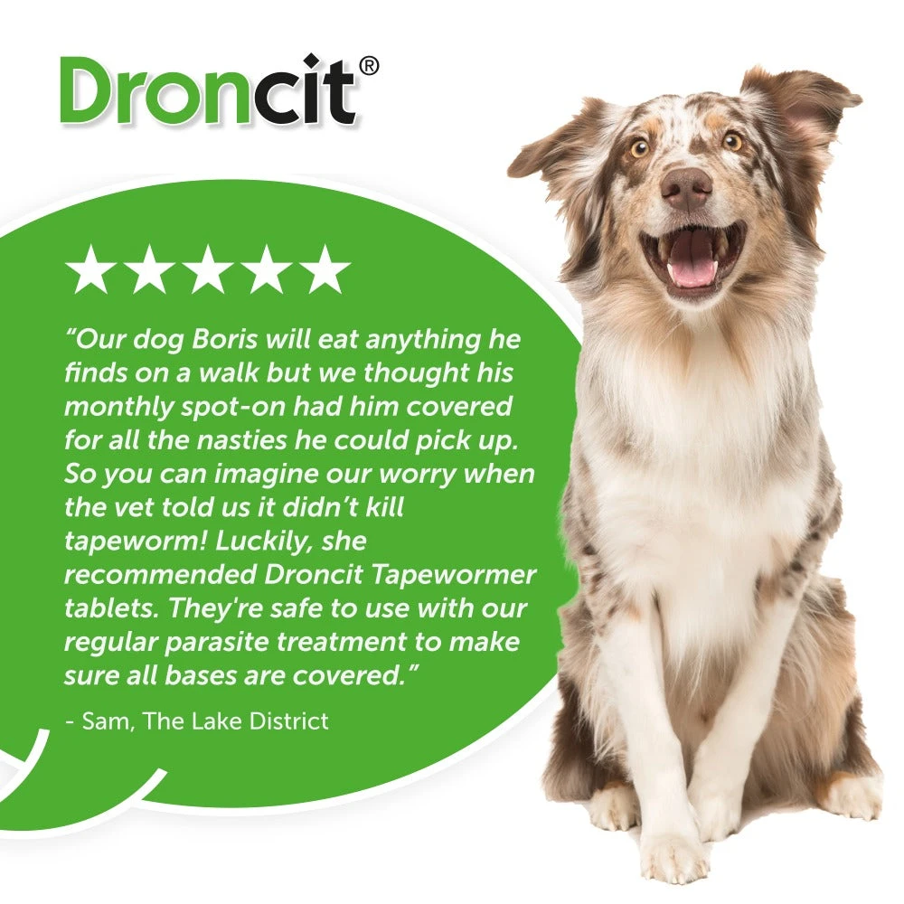Droncit Tablet Tapewormer For Cats And Dogs - All Pack Sizes 7 Droncit Tablet Tapewormer For Cats And Dogs - All Pack Sizes - Image 7