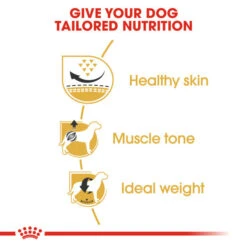 Royal Canin Dry Dog Food Specifically For Adult Pug - All Sizes -Pet Supply Store l5dfidzptof