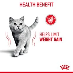 Royal Canin Light Weight Care In Jelly Adult Wet Cat Food For Cats 12 X 85g -Pet Supply Store l5qez3ypjsk